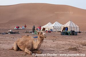 Trek in Erg Sahel - Morocco