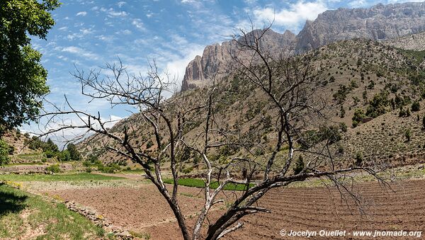 Rando de Aït Bouguemez à la vallée de l'Anergui - Maroc