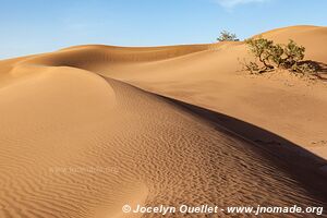 Trek in Erg Sahel - Morocco