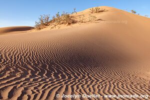 Trek in Erg Sahel - Morocco