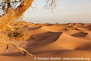 Rando dans l'Erg Sahel - Maroc