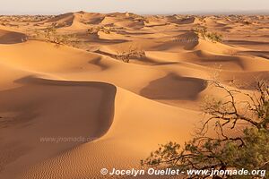 Rando dans l'Erg Sahel - Maroc