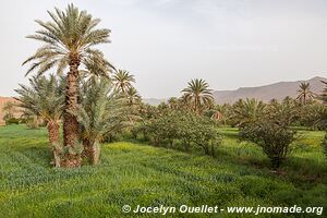 Tamnougalt - Morocco