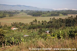 Lac Kyaninga - Ouganda