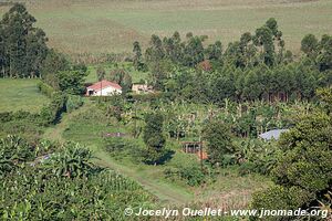 Lac Kyaninga - Ouganda