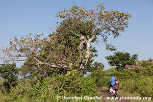 Lac Kyaninga - Ouganda