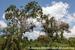 Lac Kyaninga - Ouganda