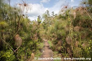 Bigodi Wetland Sanctuary - Ouganda