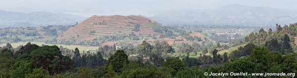  Bwindi Impenetrable Forest - Uganda