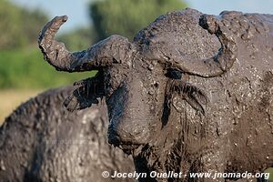 Queen Elizabeth National Park - Uganda