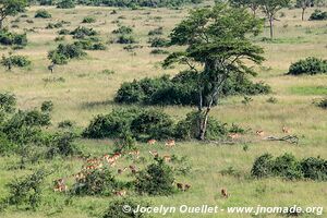 Parc national Queen Elizabeth - Ouganda