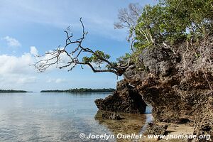 Pemba - Tanzanie