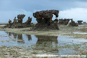 Pemba - Tanzanie