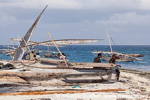 Zanzibar - Tanzanie