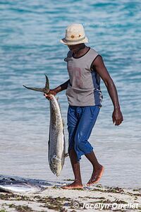 Zanzibar - Tanzanie