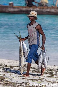 Zanzibar - Tanzanie