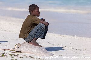 Zanzibar - Tanzanie