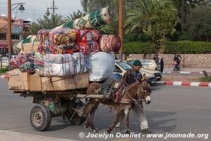 Marrakech - Maroc