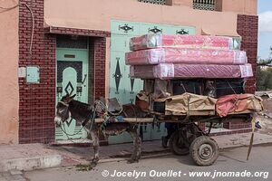 Marrakesh - Morocco