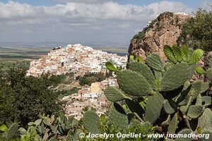 Moulay Idriss Zerhoun - Morocco