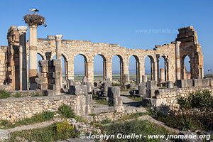 Volubilis - Maroc