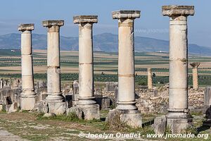 Volubilis - Morocco