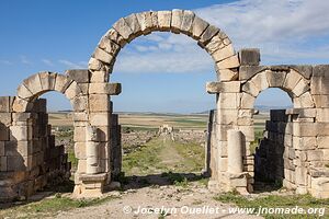 Volubilis - Maroc