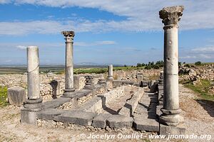 Volubilis - Morocco