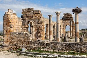 Volubilis - Maroc