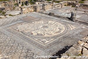 Volubilis - Morocco