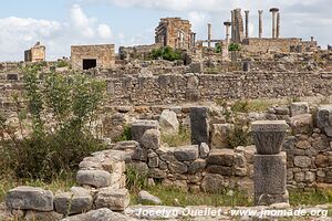 Volubilis - Maroc