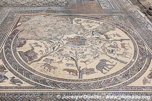 Volubilis - Maroc