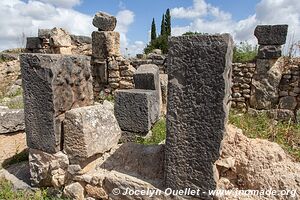 Volubilis - Maroc