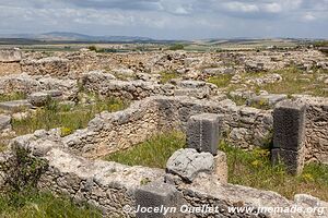 Volubilis - Morocco