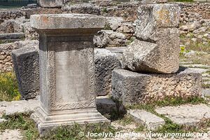 Volubilis - Maroc