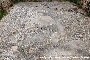 Volubilis - Maroc