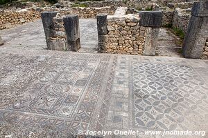 Volubilis - Maroc