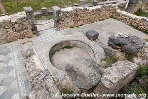 Volubilis - Maroc