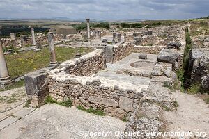 Volubilis - Maroc