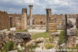 Volubilis - Maroc