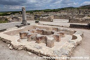 Volubilis - Maroc