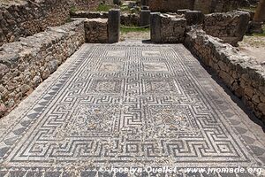 Volubilis - Maroc