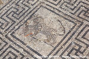 Volubilis - Maroc