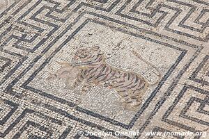 Volubilis - Morocco