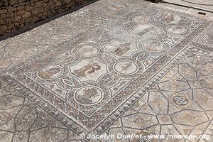 Volubilis - Maroc