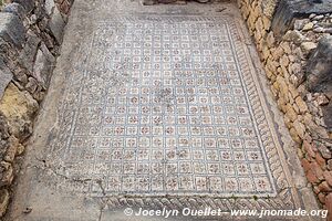 Volubilis - Maroc