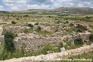 Volubilis - Maroc