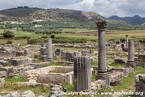 Volubilis - Maroc