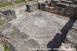 Volubilis - Maroc