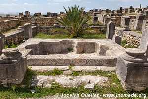 Volubilis - Maroc